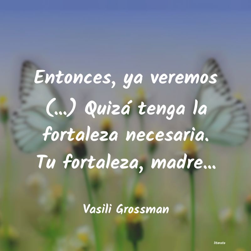 Frases de Vasili Grossman