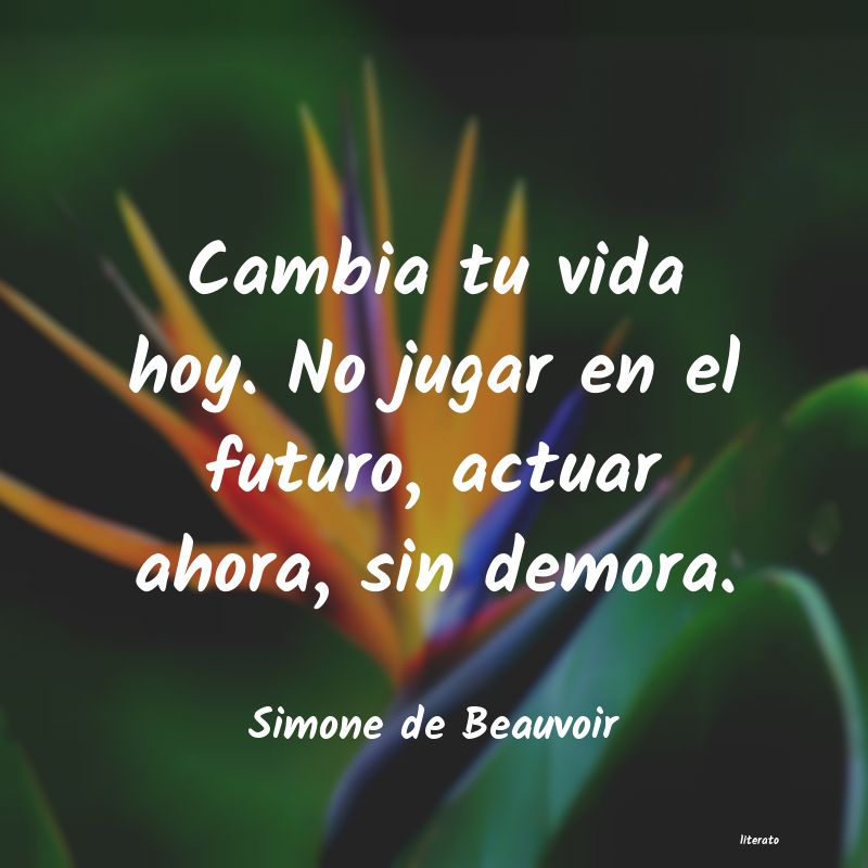 frases de Simone de Beauvoir