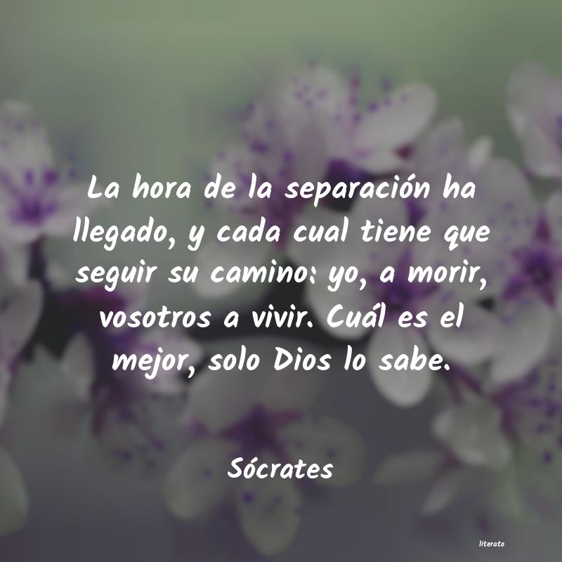 mejor seguir mejor sonar charly garcia