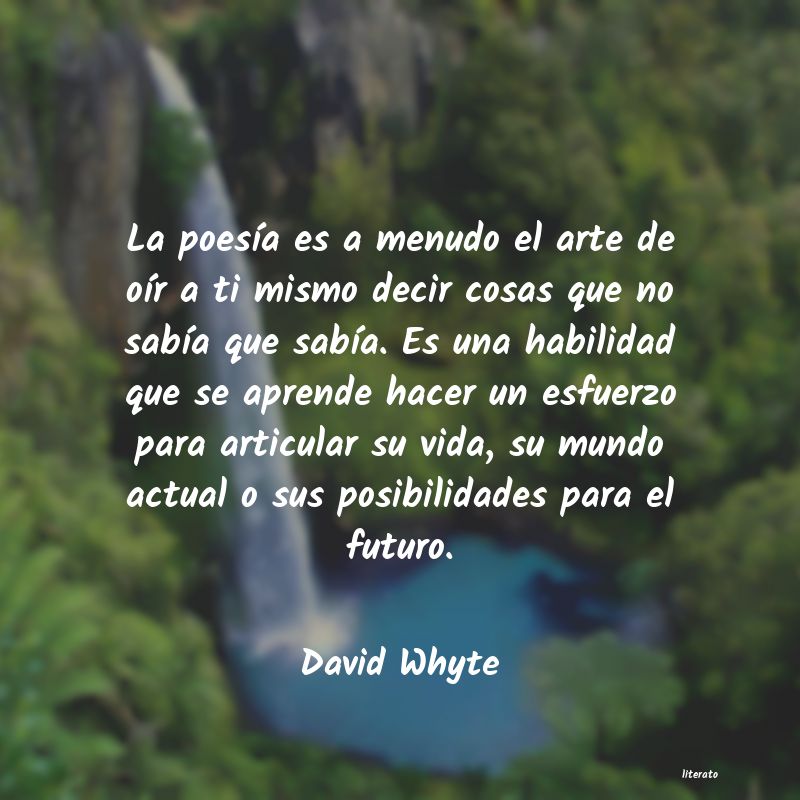 frases de David Whyte
