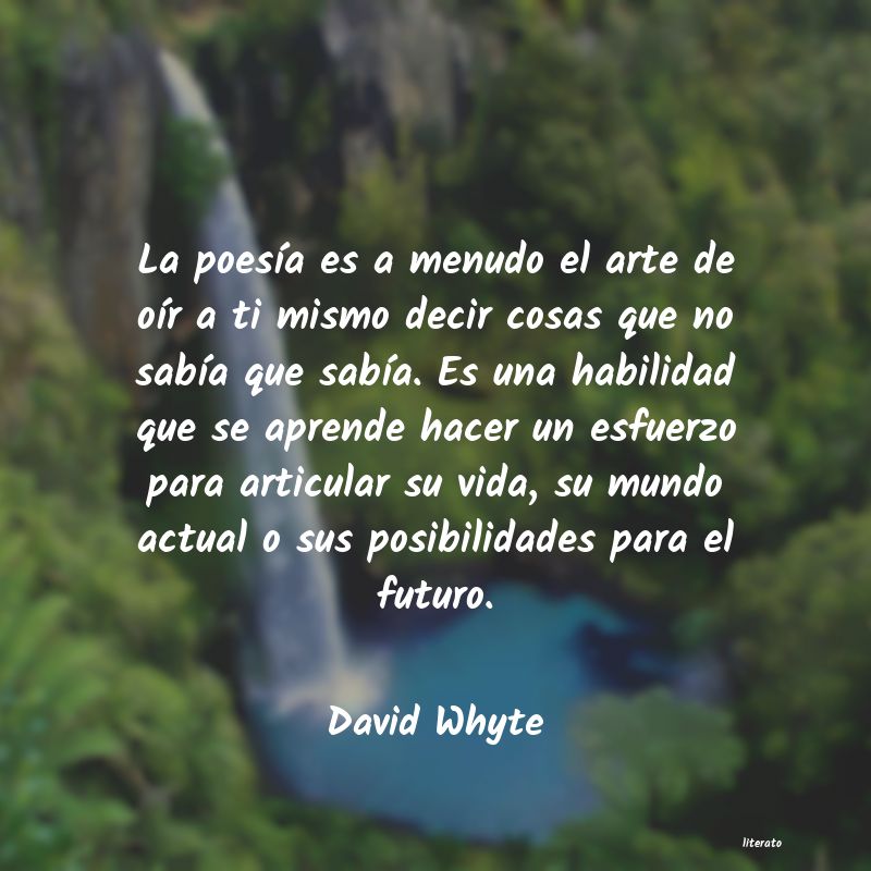 Frases de David Whyte