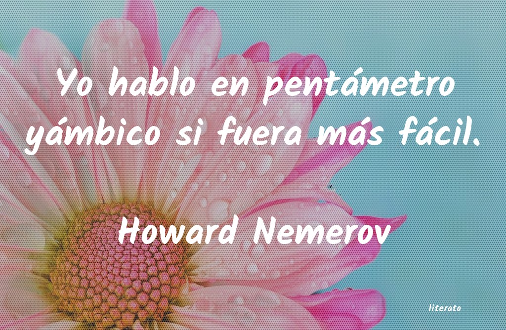 frases de Howard Nemerov