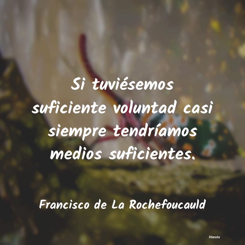 Frases de Francisco de La Rochefoucauld