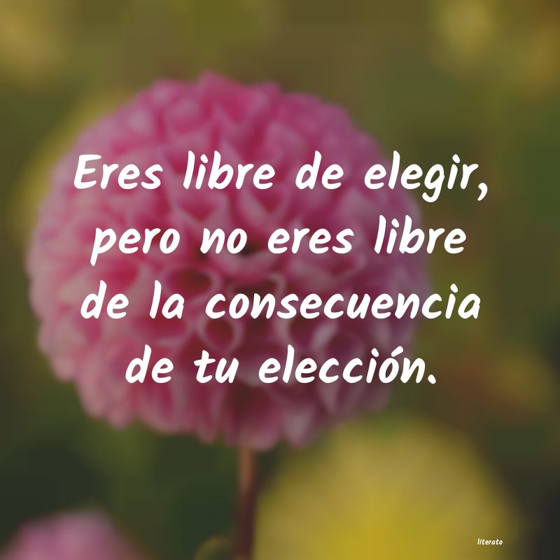 frases