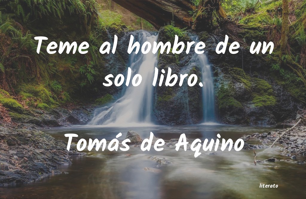 Frases de Tomás de Aquino