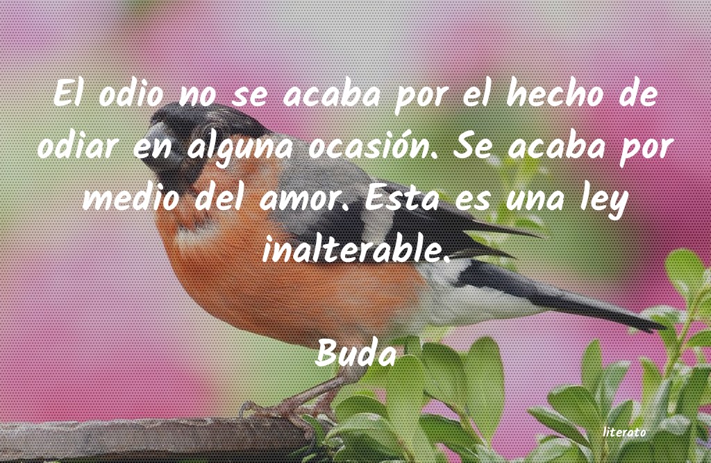 Frases de Buda