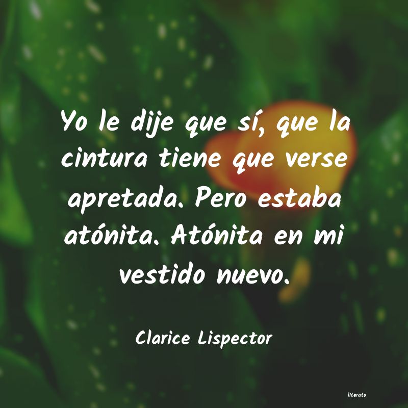 <ol class='breadcrumb' itemscope itemtype='http://schema.org/BreadcrumbList'>
<li itemprop='itemListElement'><a href='/autores/'>Autores</a></li>
<li itemprop='itemListElement'><a href='/autor/clarice_lispector/'>Clarice Lispector</a></li>
</ol>