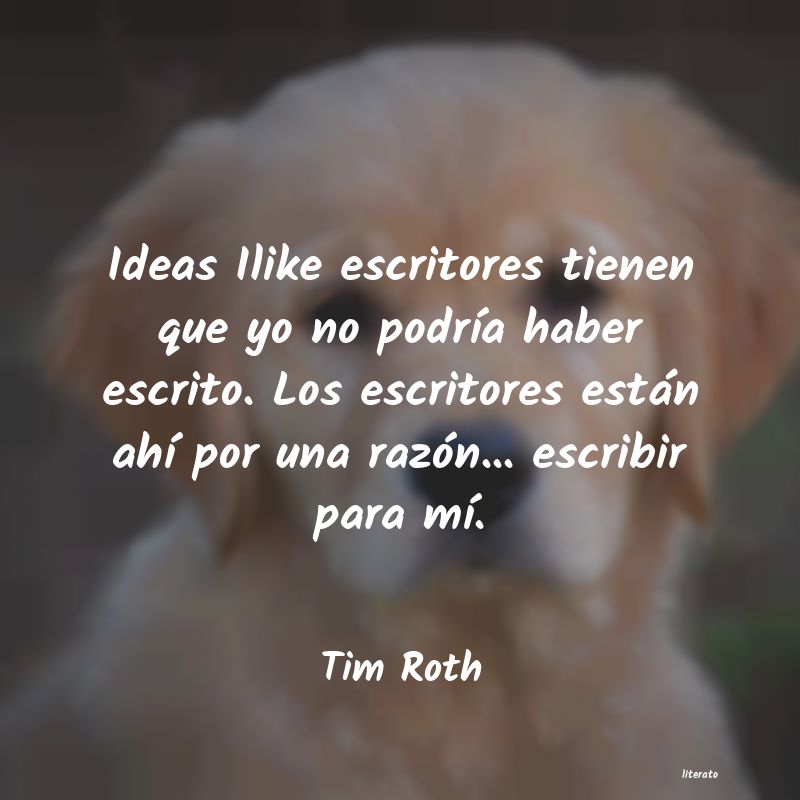 Frases de Tim Roth
