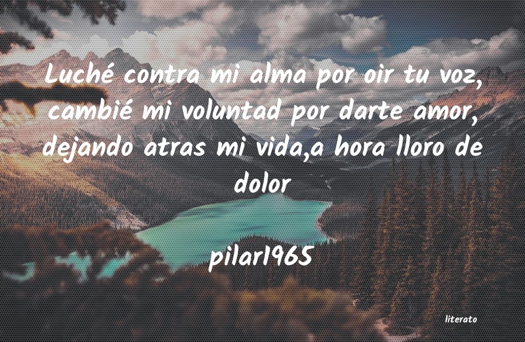 Frases de pilar1965