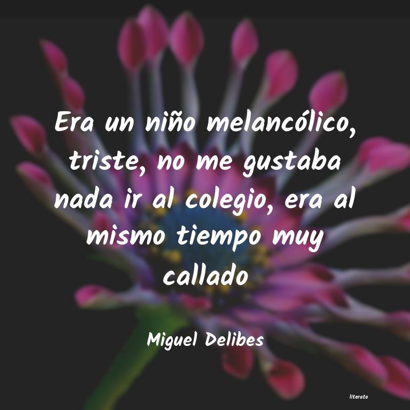 Frases de Miguel Delibes