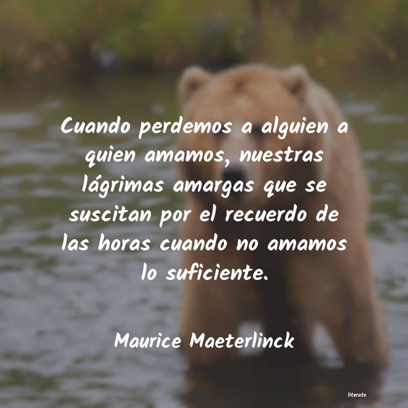 Frases de Maurice Maeterlinck