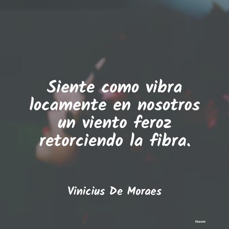 Frases de Vinicius De Moraes