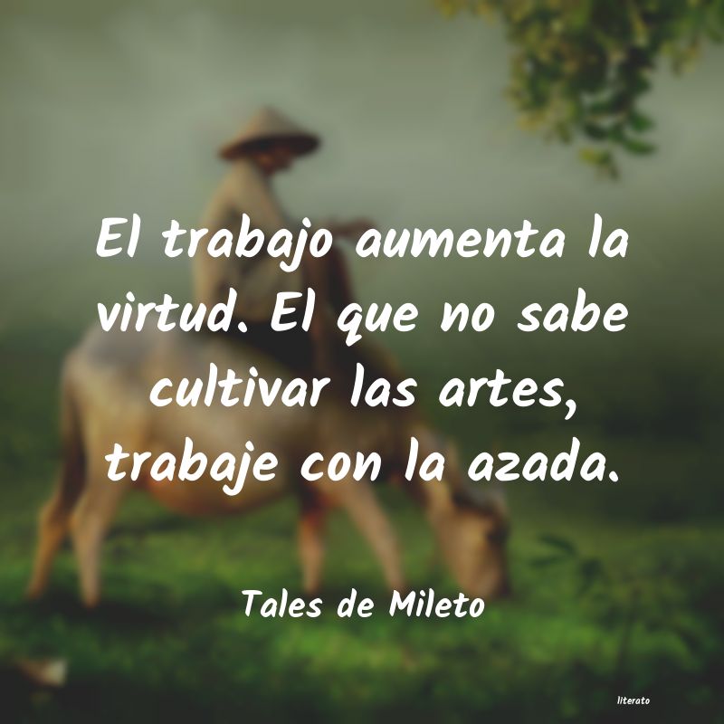 frases de Tales de Mileto