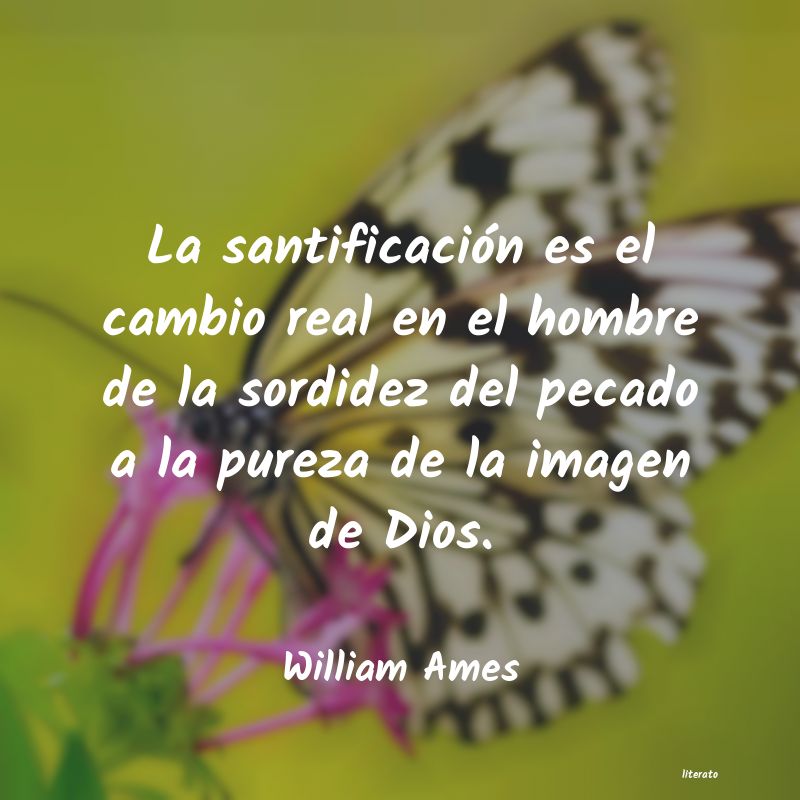 Frases de William Ames