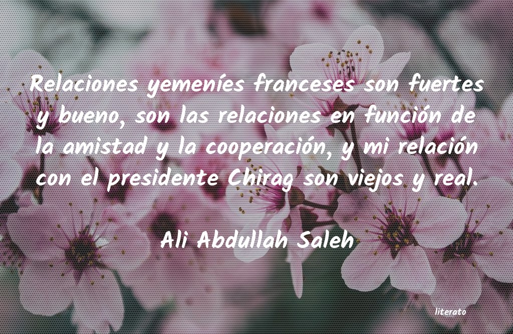 Frases de Ali Abdullah Saleh