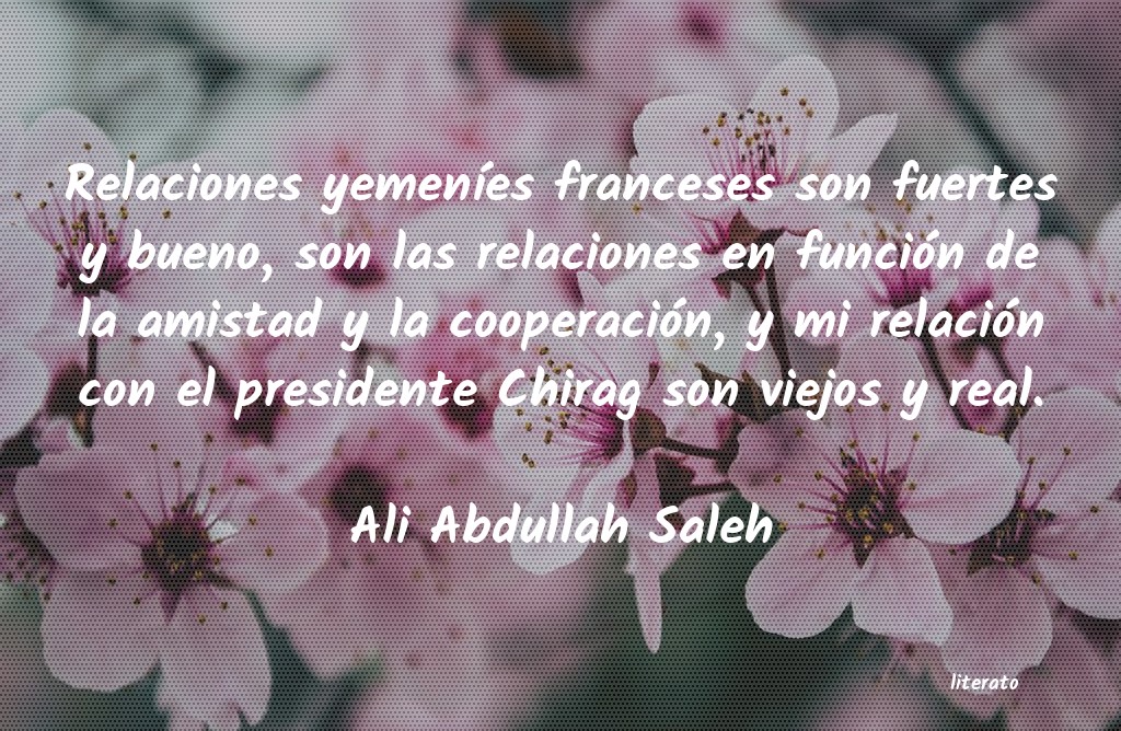 frases de Ali Abdullah Saleh