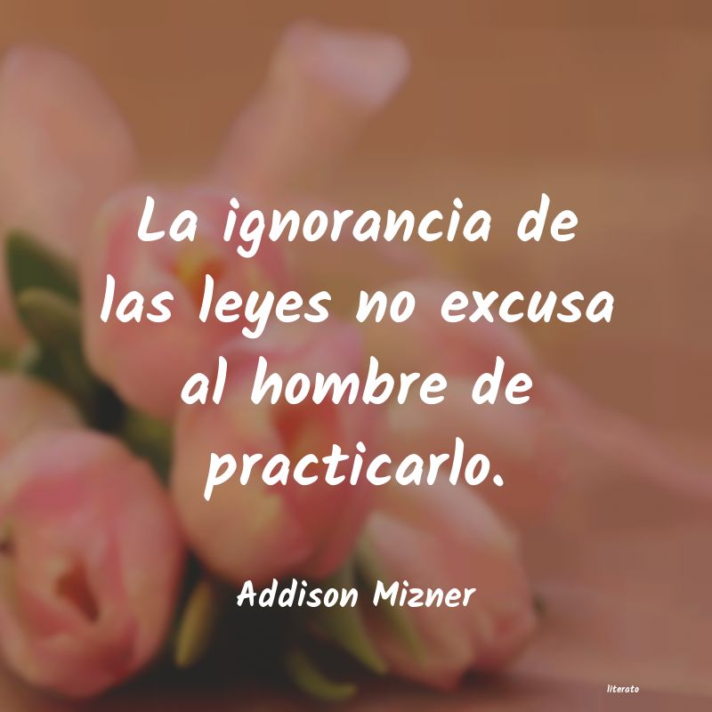 frases de Addison Mizner