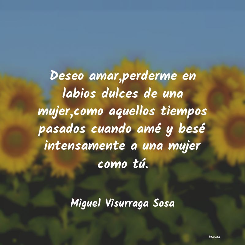 frases de Miguel Visurraga Sosa