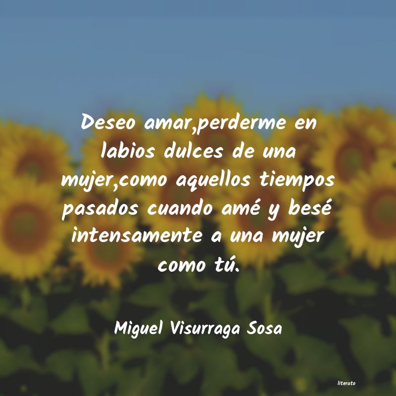 Frases de Miguel Visurraga Sosa