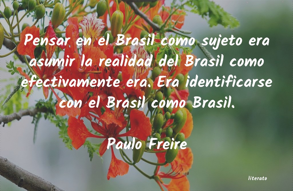 Frases de Paulo Freire