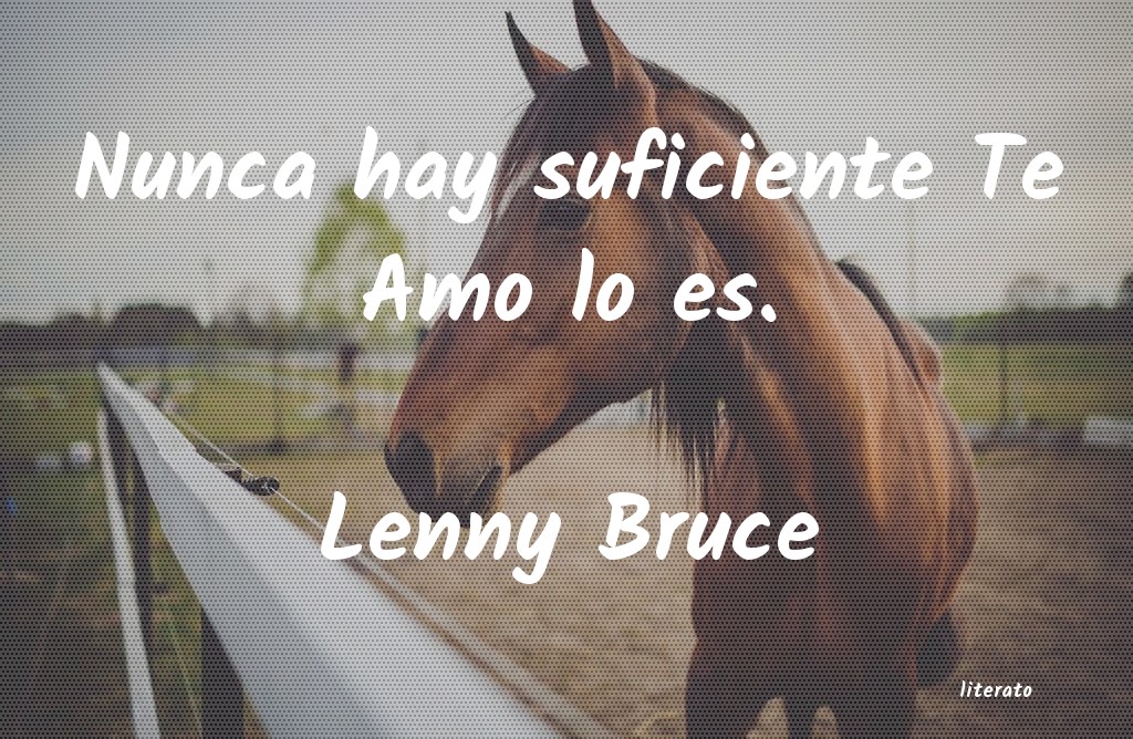 Frases de Lenny Bruce