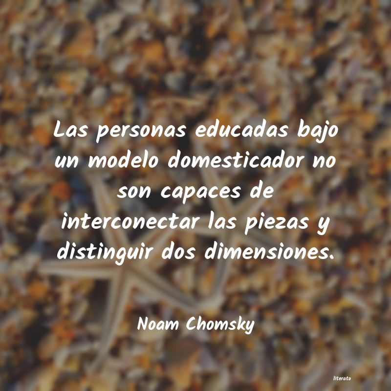 Frases de Noam Chomsky