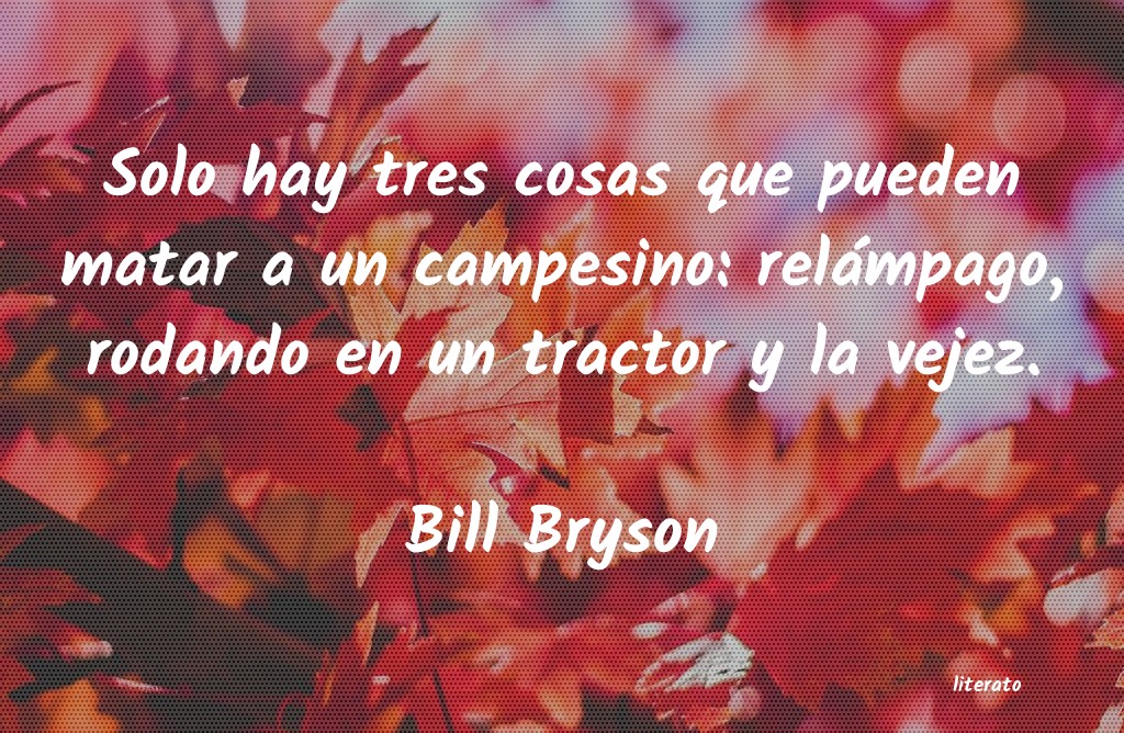 Frases de Bill Bryson