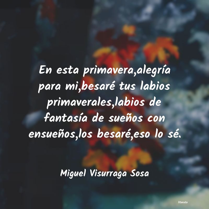 frases de Miguel Visurraga Sosa
