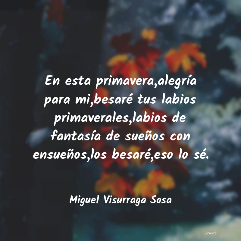 Frases de Miguel Visurraga Sosa