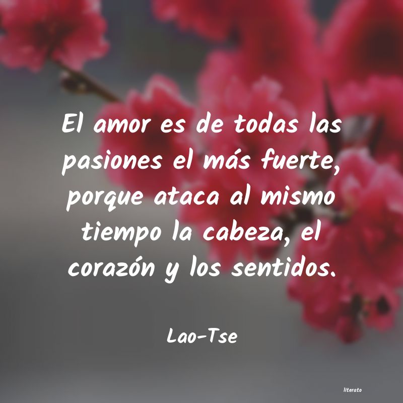 Frases de Lao-Tse