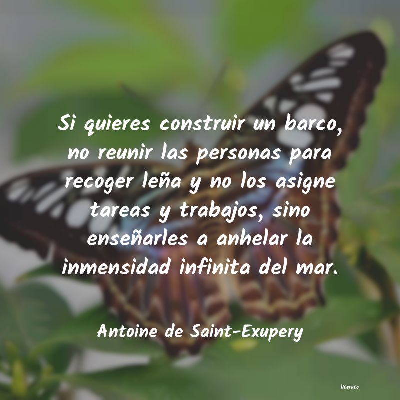 Frases de Antoine de Saint-Exupery