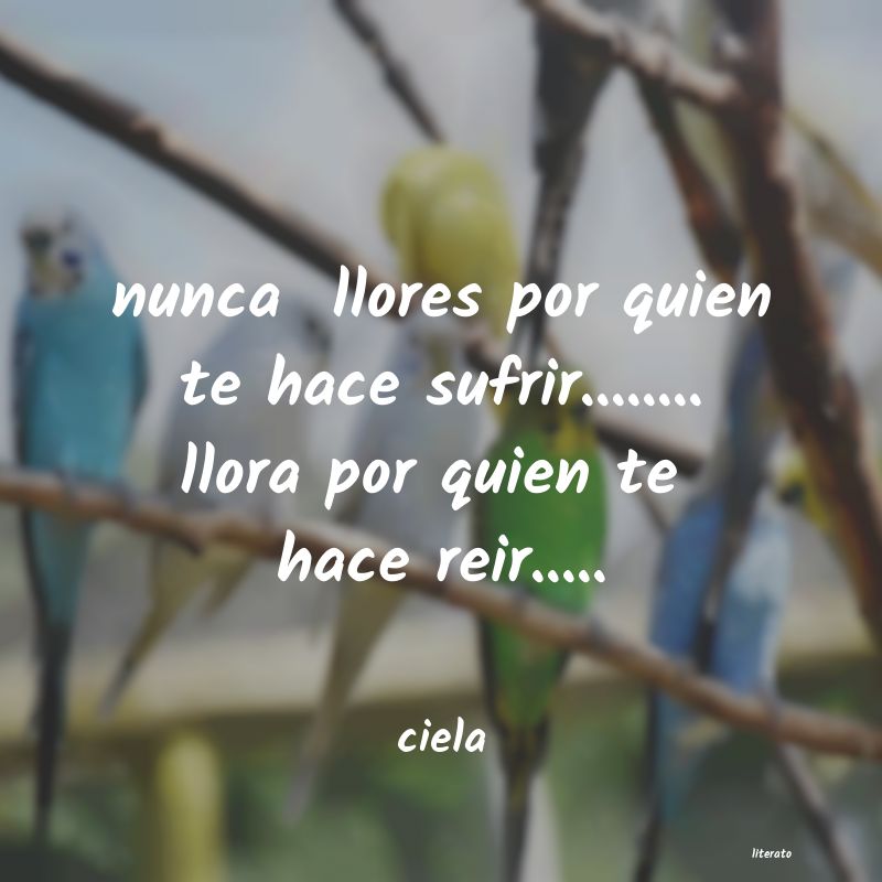 frases de ciela