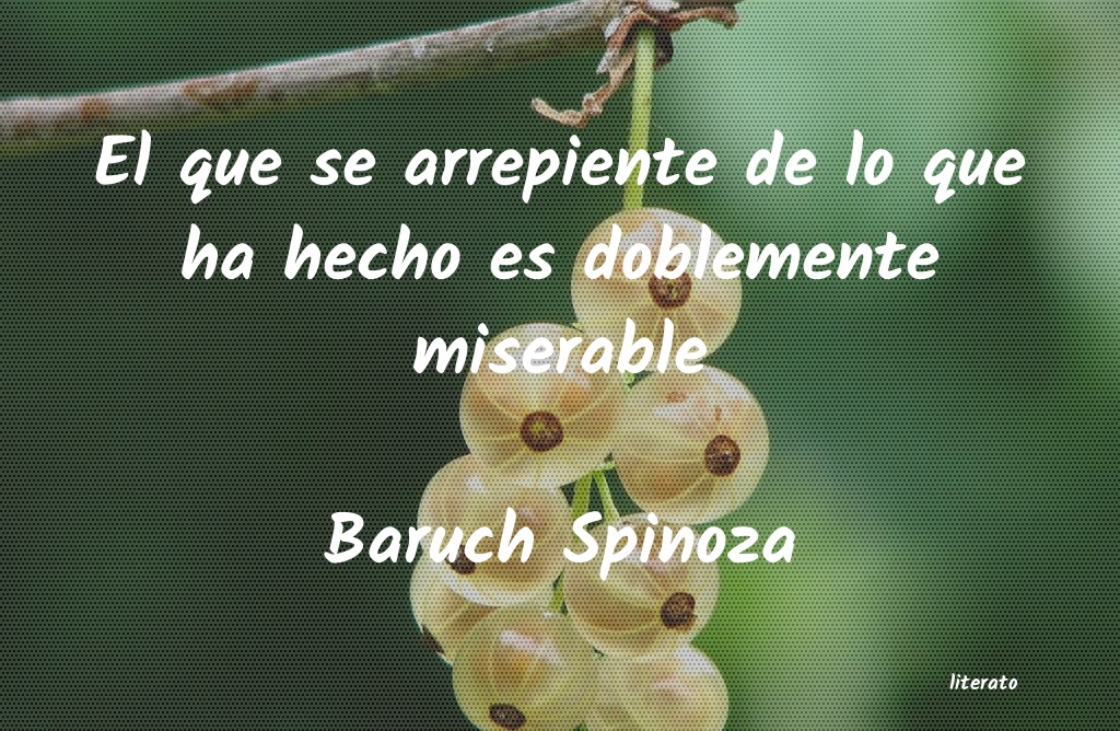 Frases de Baruch Spinoza