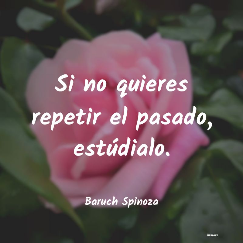 Frases de Baruch Spinoza