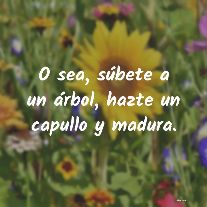 frases