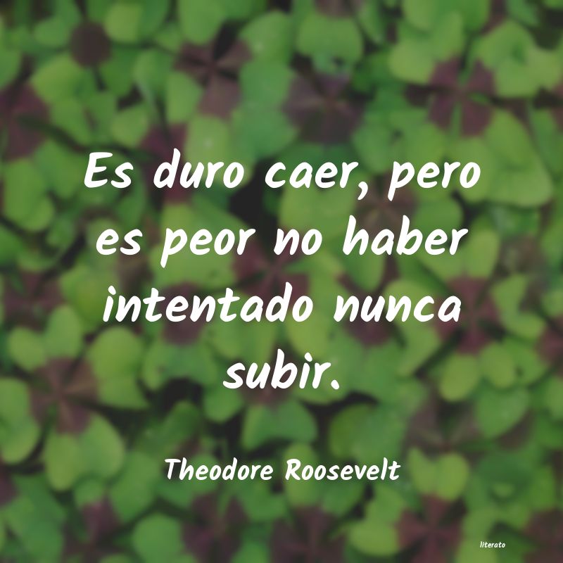 Frases de Theodore Roosevelt