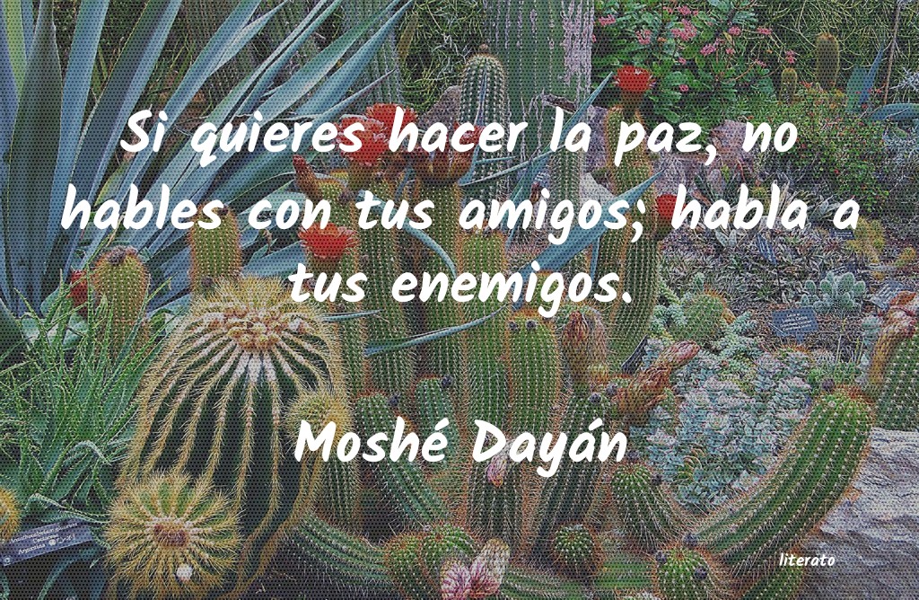 frases de Moshé Dayán