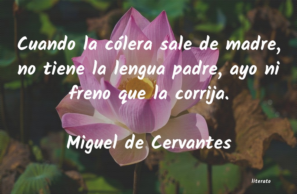 Frases de Miguel de Cervantes