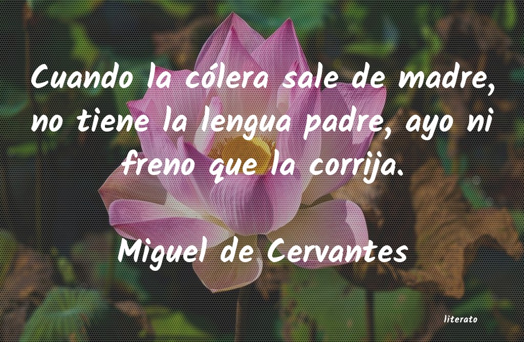 frases de Miguel de Cervantes