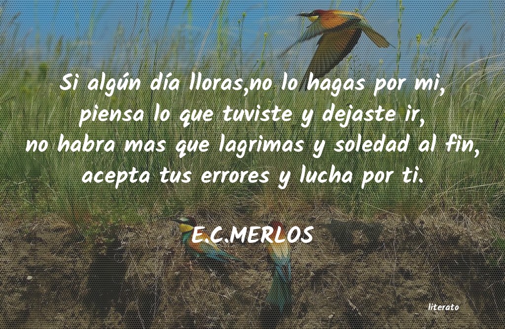 Frases de E.C.MERLOS