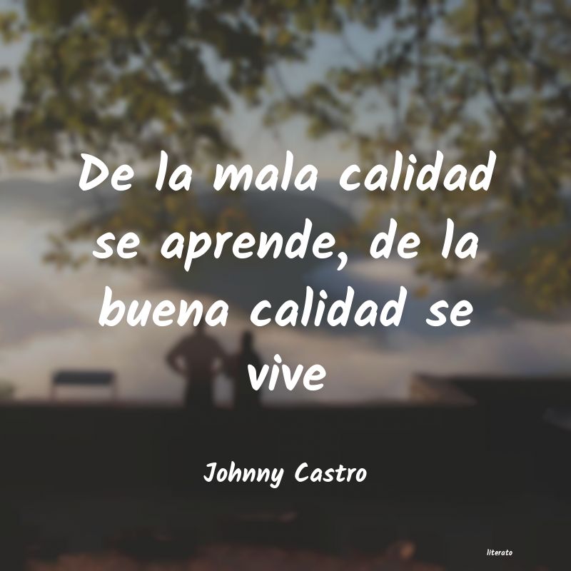 Frases de Johnny Castro