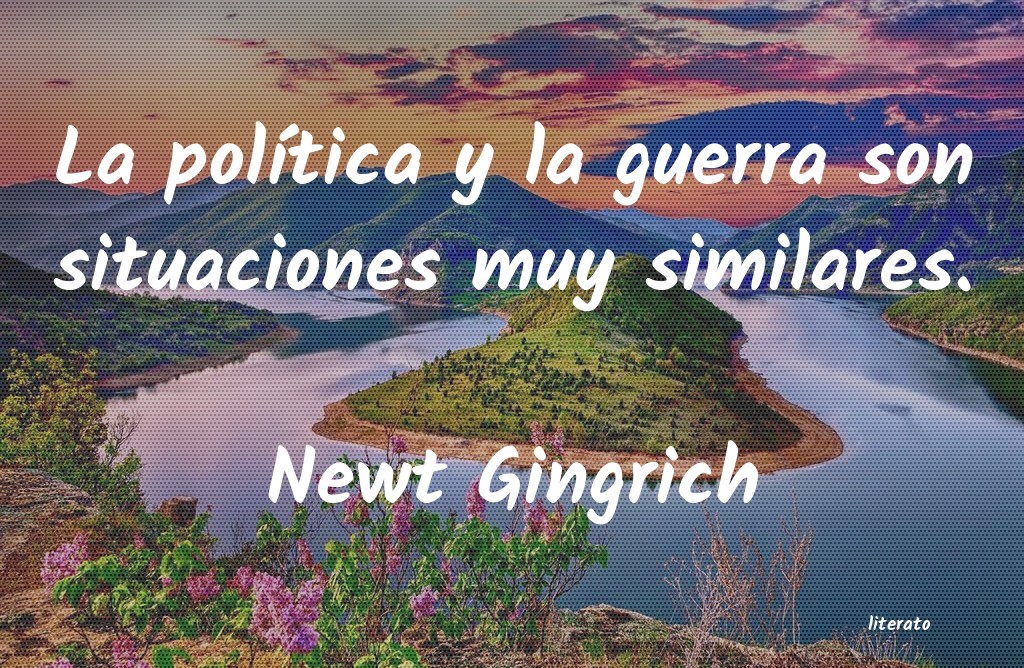 Frases de Newt Gingrich