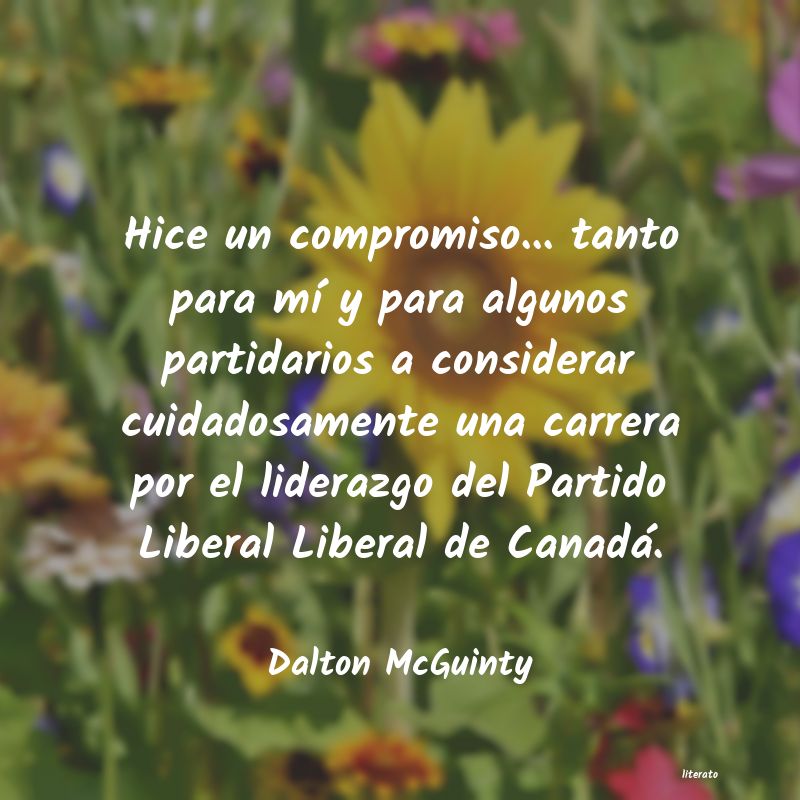 Frases de Dalton McGuinty