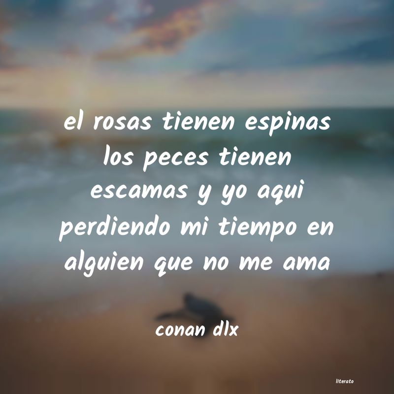 Frases de conan dlx