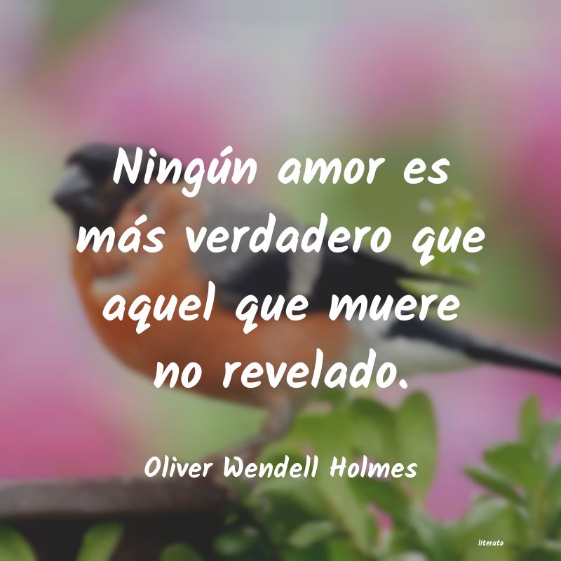 frases de Oliver Wendell Holmes