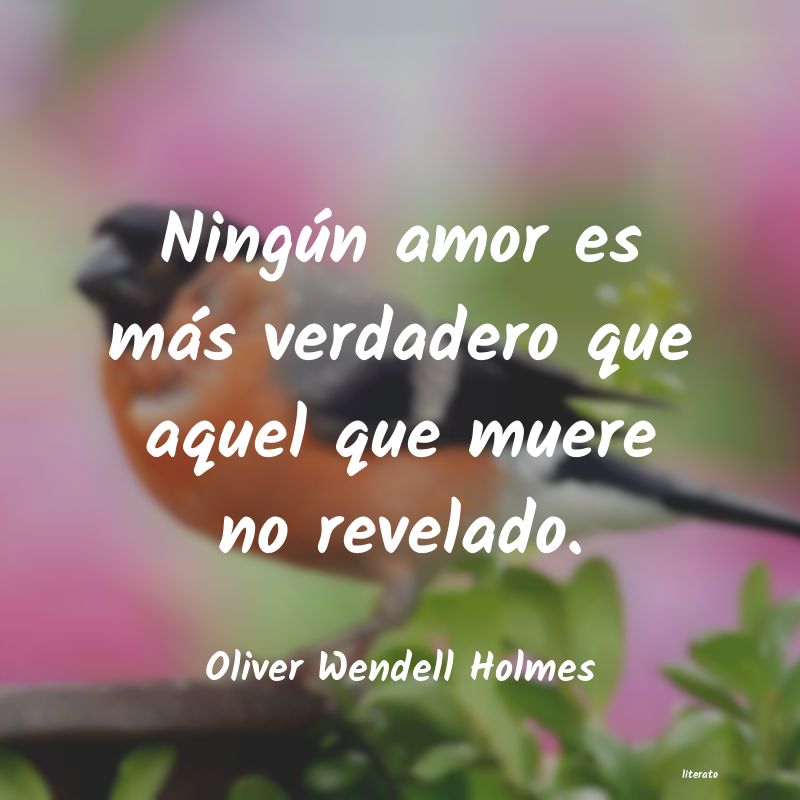 Frases de Oliver Wendell Holmes