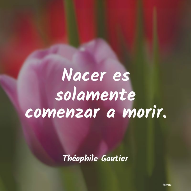 Frases de Théophile Gautier