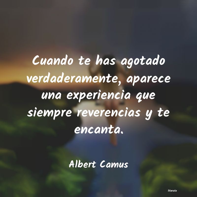 Frases de Albert Camus