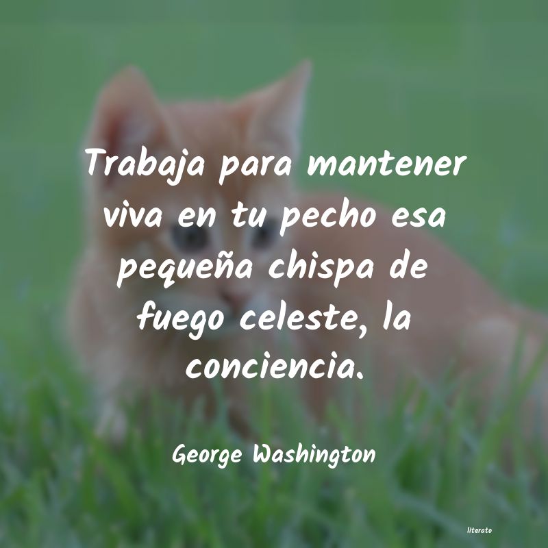 frases de George Washington