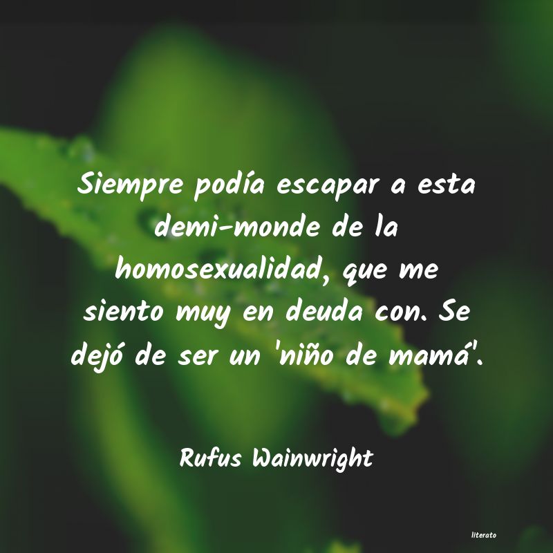 Frases de Rufus Wainwright